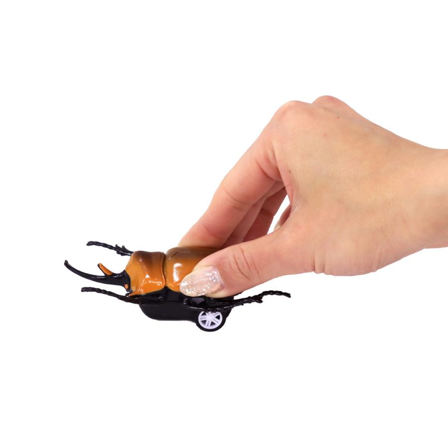 プルバック ミニカー 走れ! 昆虫の森 6種アソート 12個入りBOX リアル