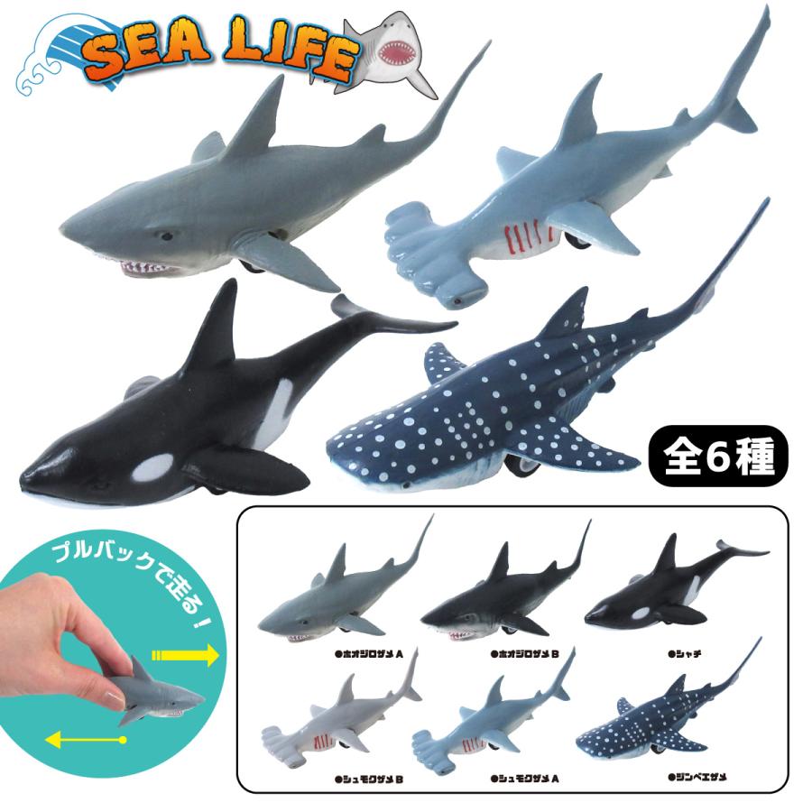プルバック ミニカー ワイルドシーアニマル 1個 単品 選べる6種類 海