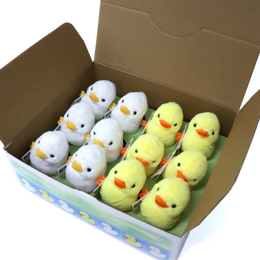 ぜんまいシリーズ かわいいあひるちゃん 2色アソート 12個入りBOX