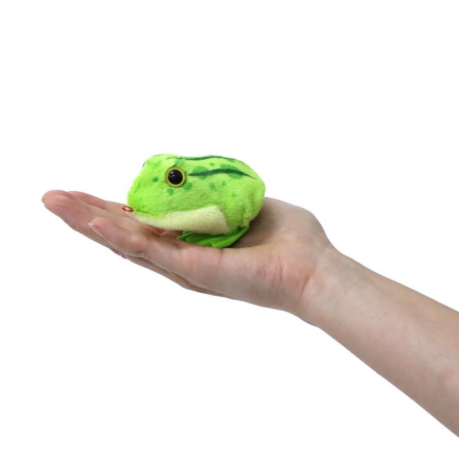 ぜんまいシリーズ かわいいかえるちゃん 12個入りBOX ピョンピョン