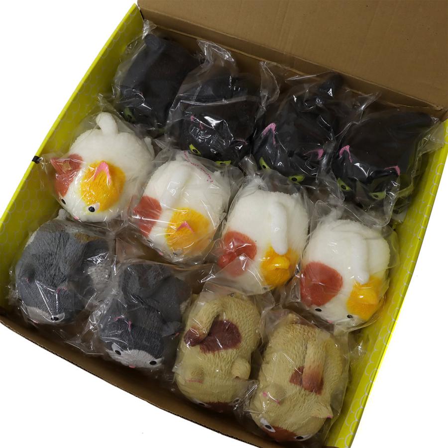 里親募集中 ぷにぷにニャンコちゃん 4色アソート 12個入りBOX 里親募集中 ぷにぷにニャンコちゃん 4色アソート 12個入りBOX