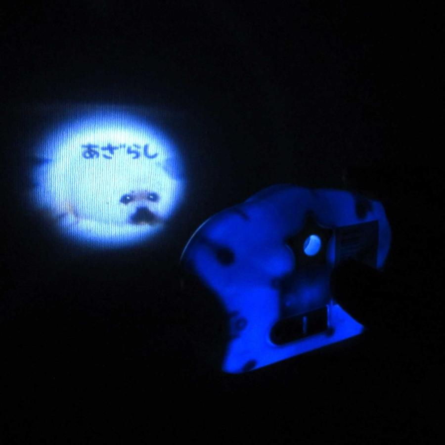 かちかちムービーカメラ 海のなかま 12個入りBOX カメラプロジェクター