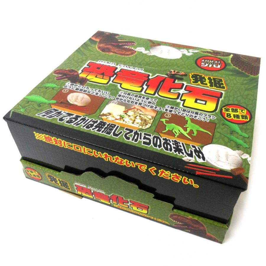 発掘 恐竜化石 12個入りBOX 体験 おもちゃ : テンマヤ - 通販 - Yahoo