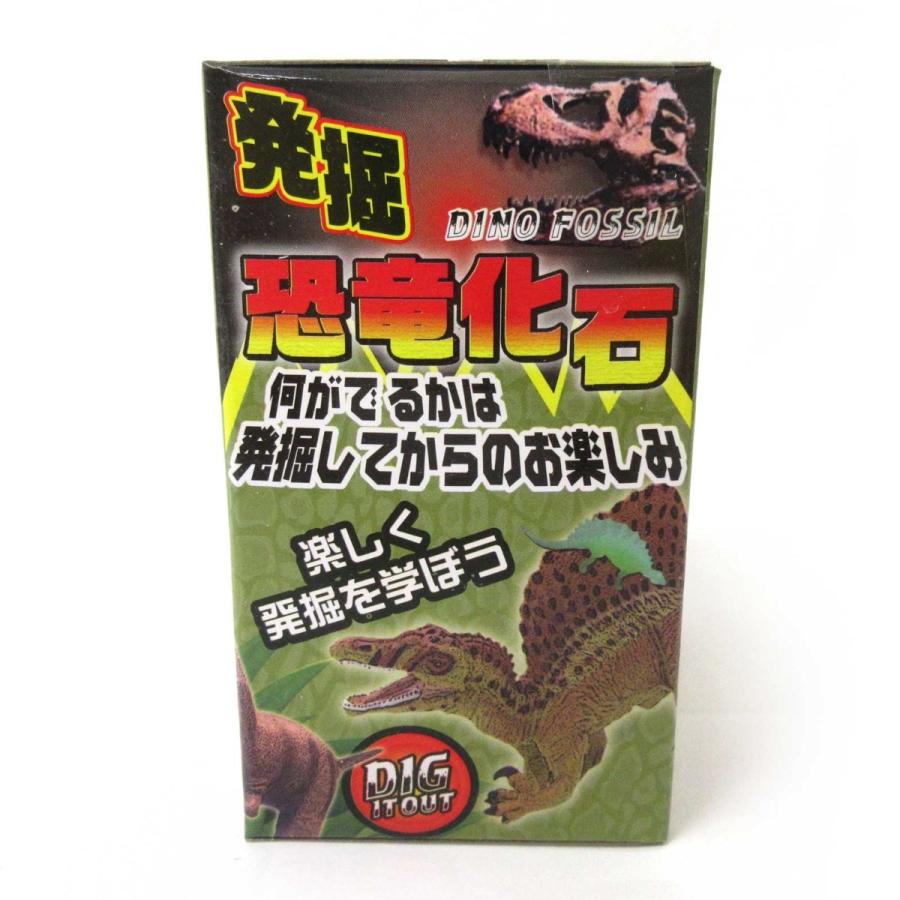 発掘 恐竜化石 12個入りBOX 体験 おもちゃ : テンマヤ - 通販 - Yahoo