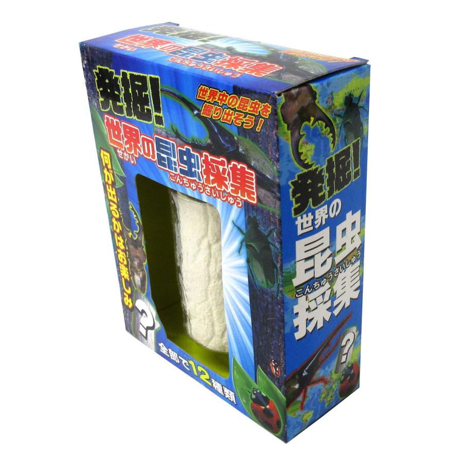 虫の王出品 アニア AA-05 世界の昆虫王者セット | Toys”R”Us – Japan
