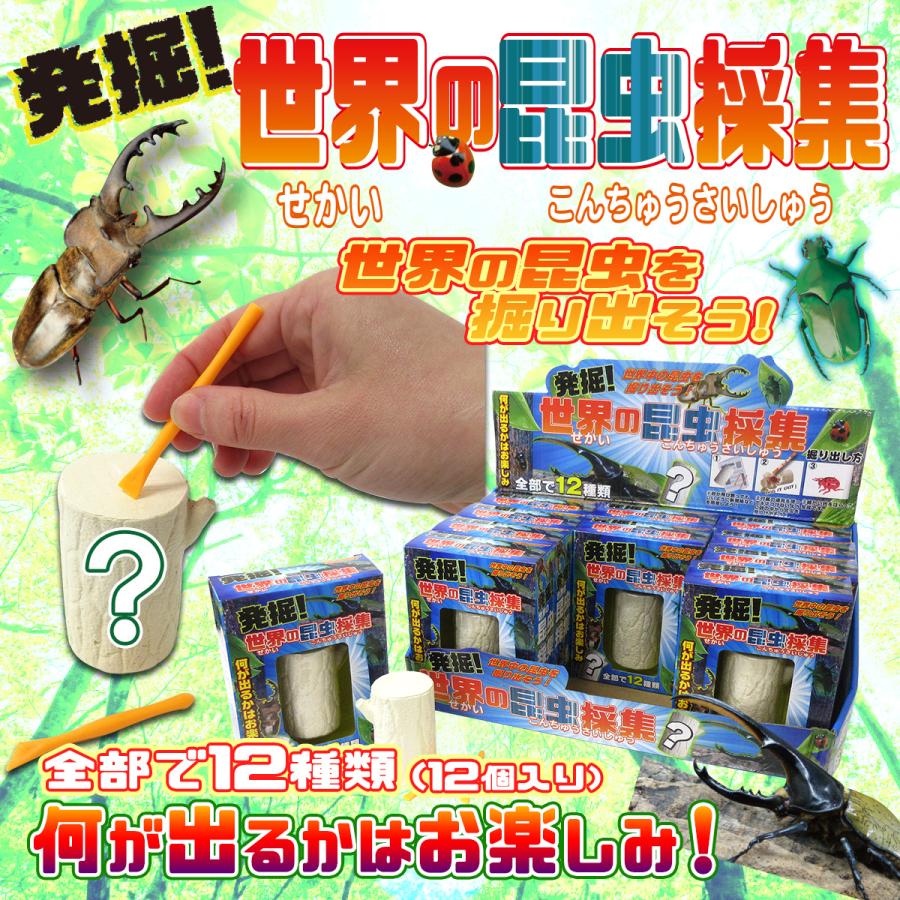 発掘 世界の昆虫採集 12個入りBOX 体験 おもちゃ 206-634 : テンマヤ