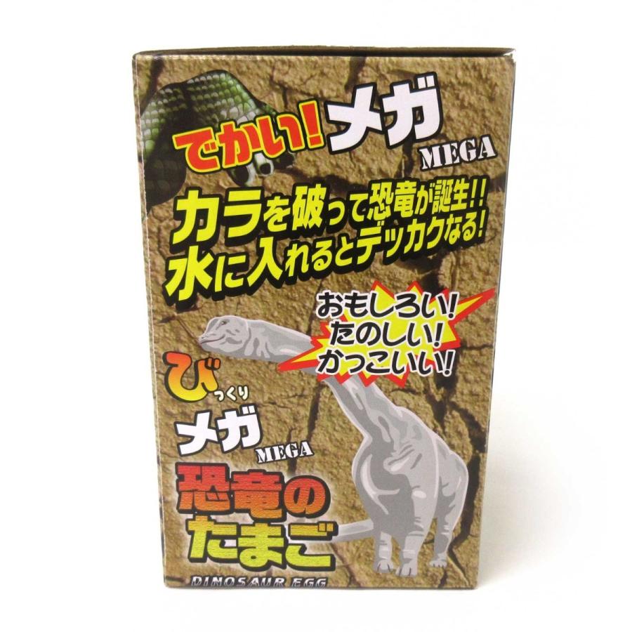 真瞳術　恐竜の卵16個 Dinosaur figure is born from inside the egg when dipped in