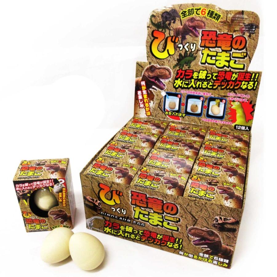 びっくりたまご 恐竜 12個入りBOX : テンマヤ - 通販 - Yahoo!ショッピング