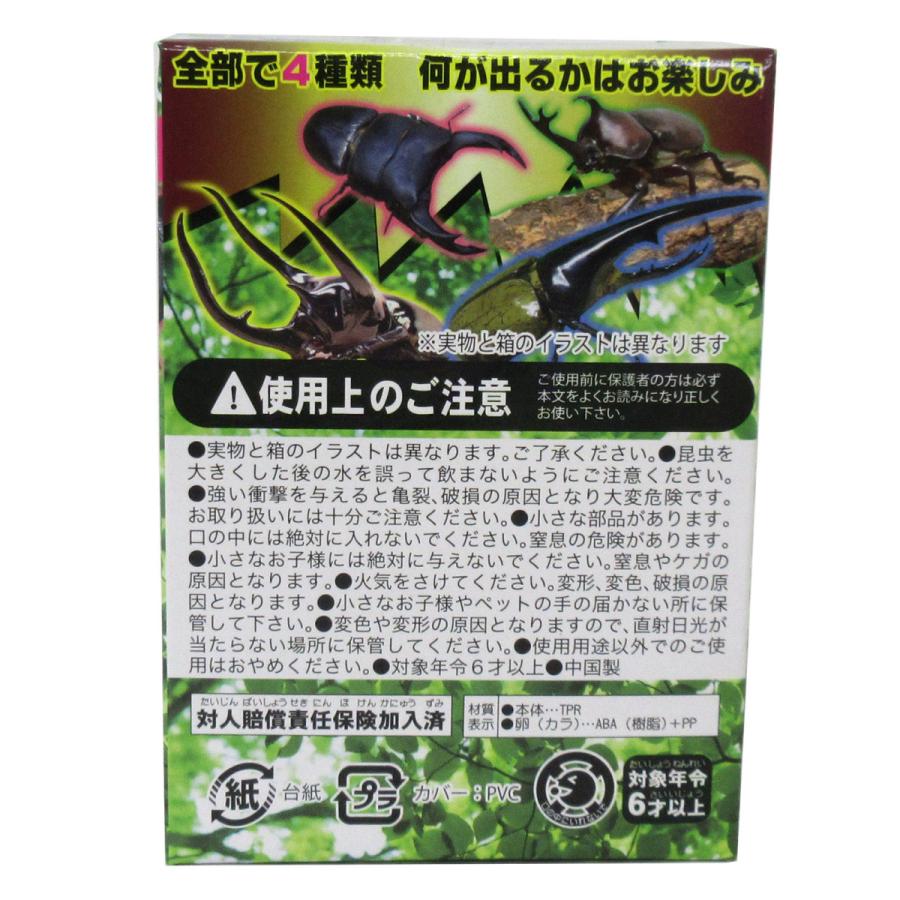 びっくり昆虫の金の卵 カブトムシ クワガタ 1個 6 670 6 670 テンマヤ 通販 Yahoo ショッピング