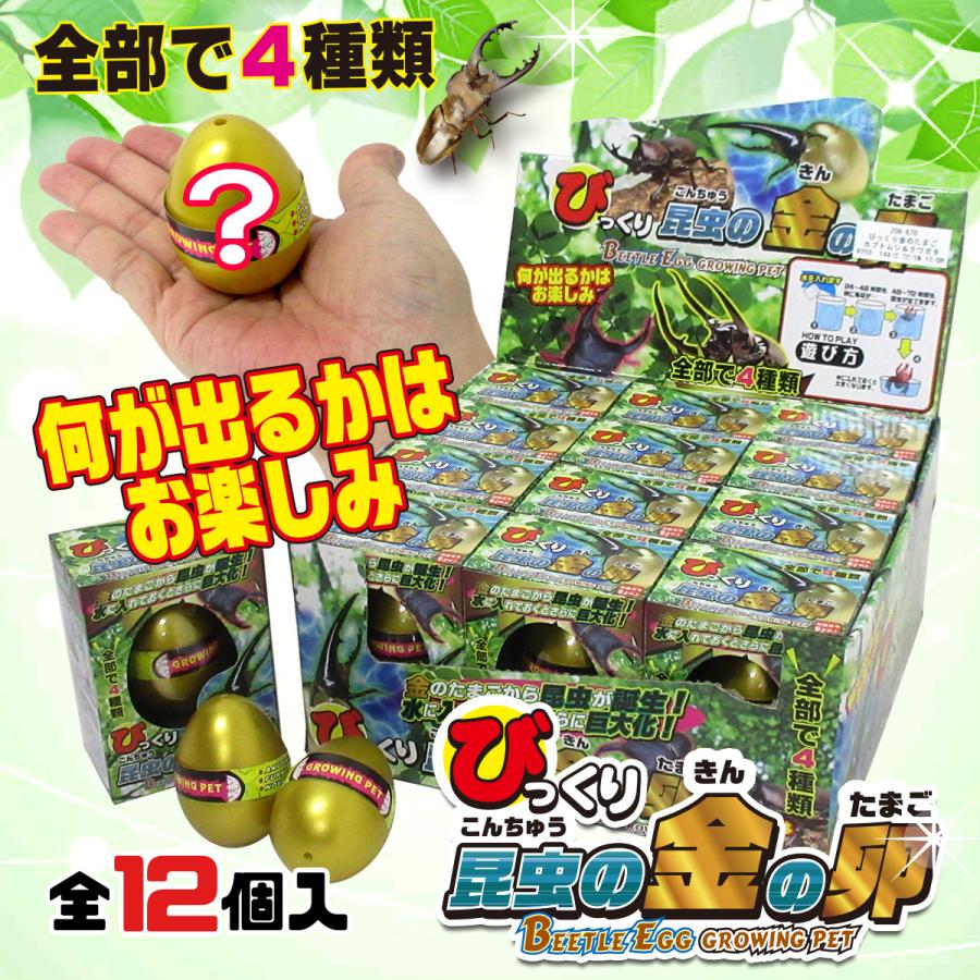 びっくり昆虫の金の卵 カブトムシ クワガタ 12個入りbox 6 670 6 670b テンマヤ 通販 Yahoo ショッピング