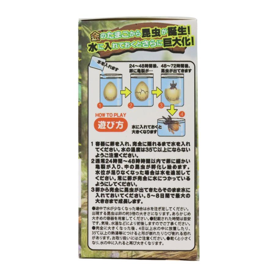 NEW びっくり金のたまご オオカブト＆クワガタ 1個 単品 サプライズ