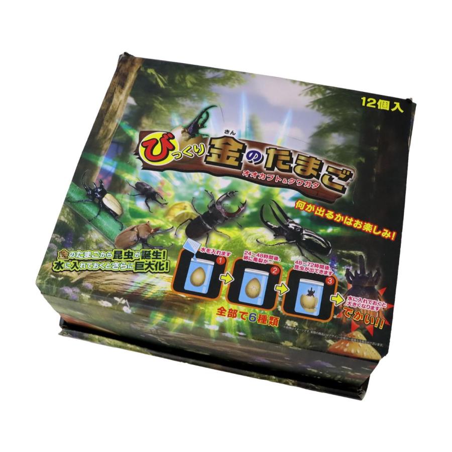 虫の王出品 NEW びっくり金のたまご オオカブト＆クワガタ 12個入りBOX サプライズ