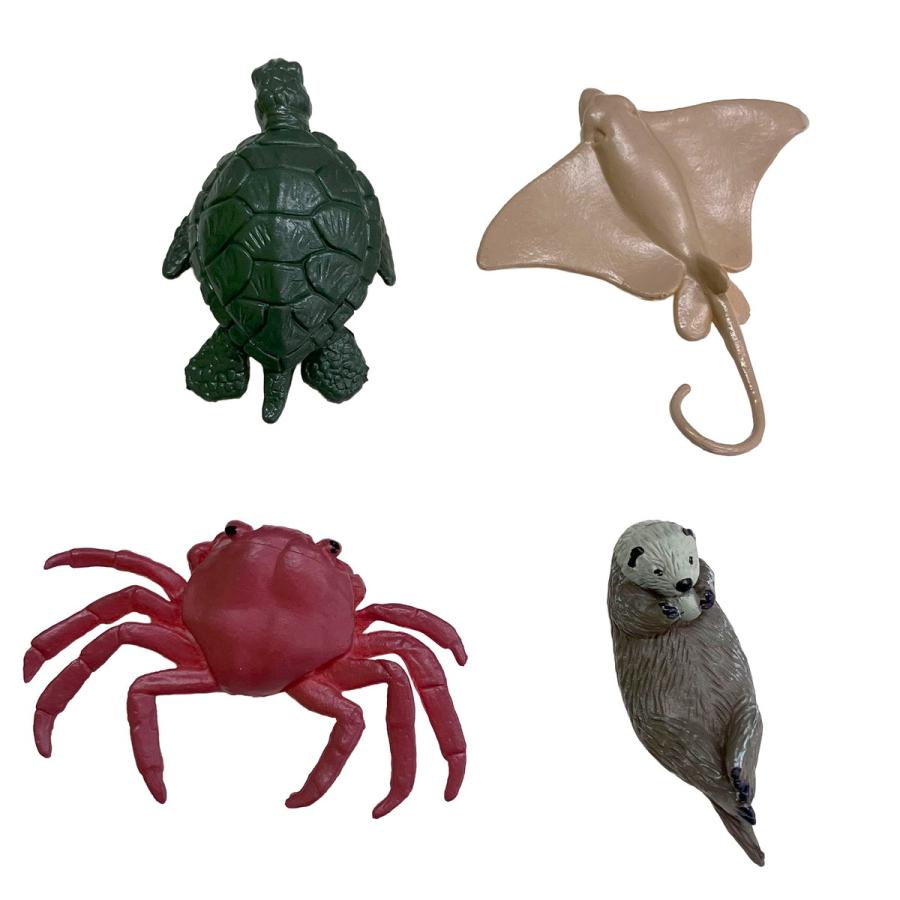 海洋生物ワールド フィギュアセット リアルな海どうぶつ 水族館
