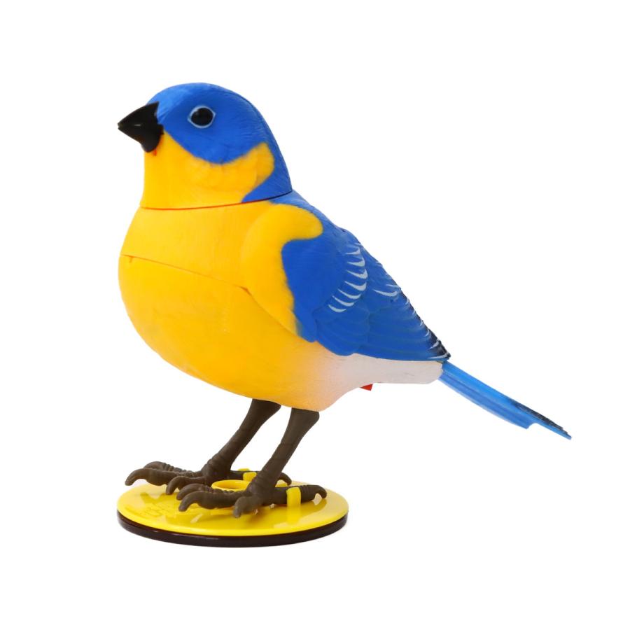 センサーハミングバード 1個 単品 選べる3色 鳥のおもちゃ 音が鳴る