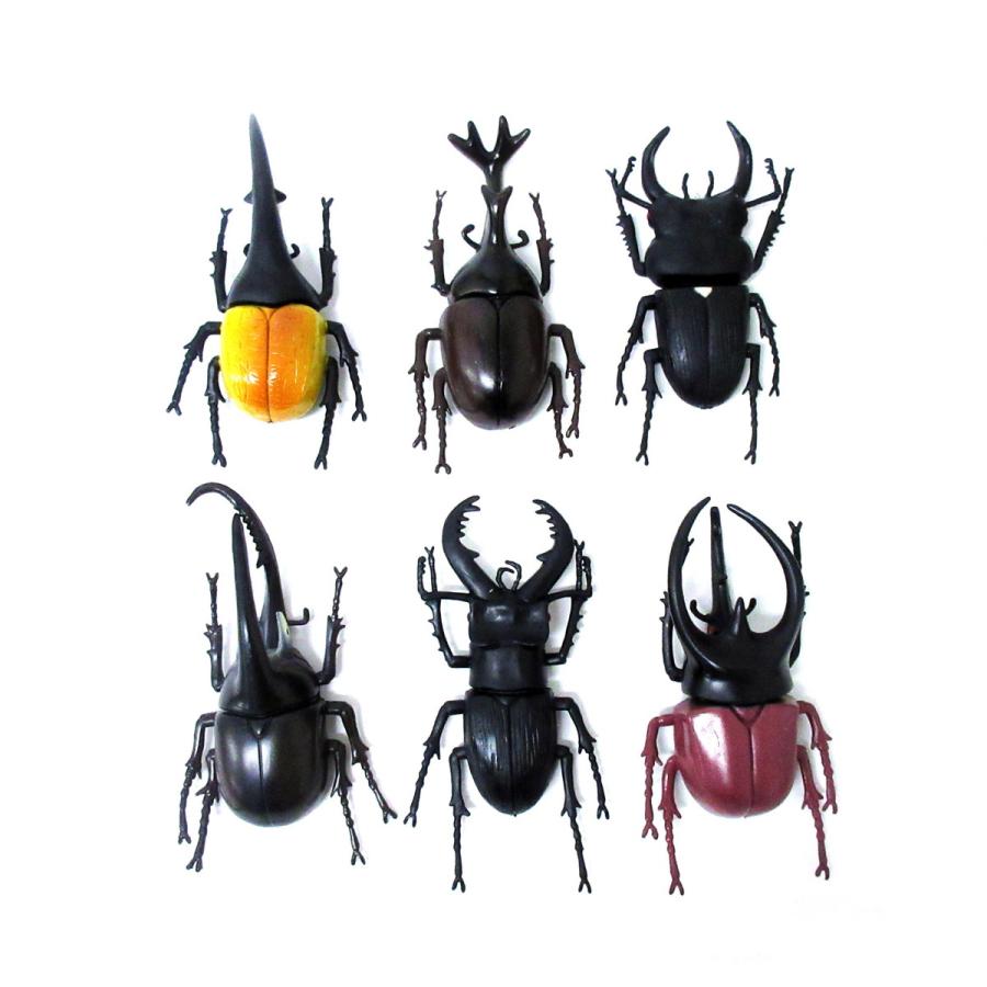 あつまれ！！昆虫の森 6種アソート 24個入りBOX リアル