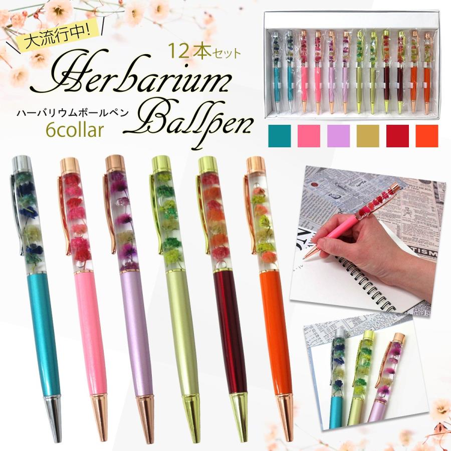 ハーバリウムボールペン 6色 2本セット 12本入りbox インク色黒 文房具 301 400 301 400b テンマヤ 通販 Yahoo ショッピング