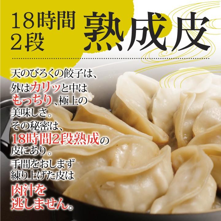 餃子 お取り寄せ 冷凍 北海道 とかちマッシュぎょうざ 12個セット ギョウザ ギフト｜tenno-biroku｜02