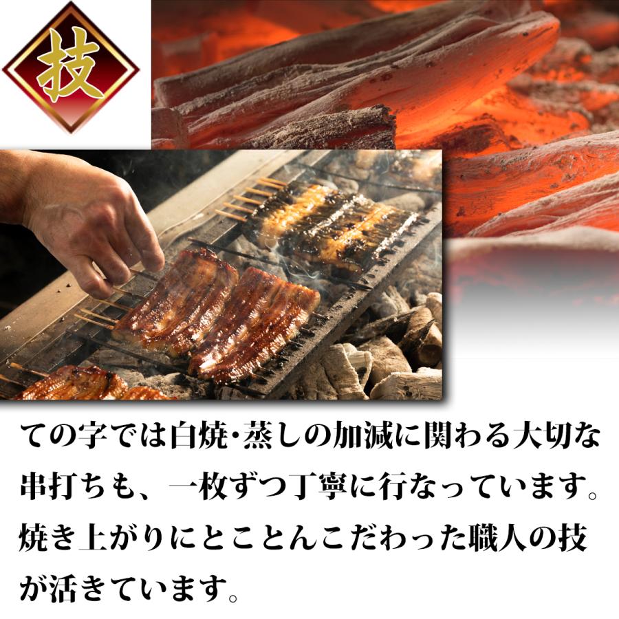 うなぎ 鰻 国産 プレゼント 蒲焼 大門（だいもん） 500g（100g×5尾） ての字 送料無料 手焼き | ての字 | 08