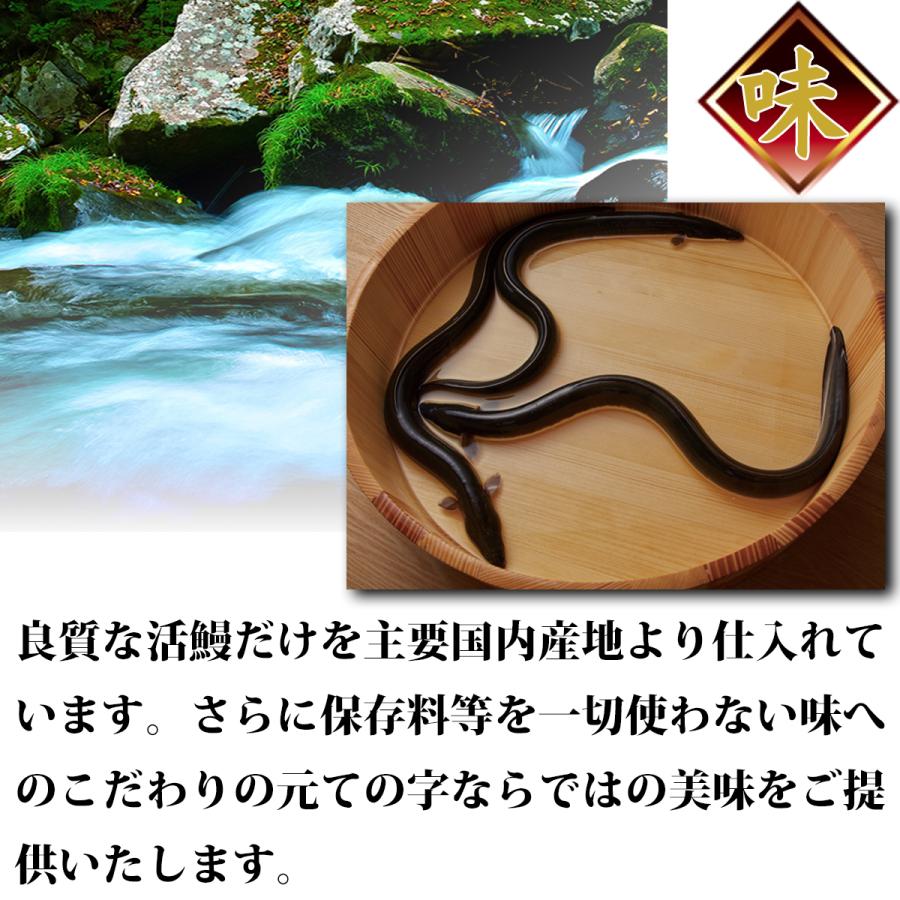うなぎ 鰻 国産 プレゼント 蒲焼 80g×2セット ての字 | ての字 | 06