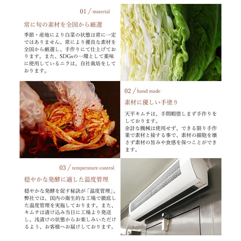 海王キムチセット(珍味5種)チャンジャ(P) サキイカ イカ イイダコ(S) 王様(S) キムチ 珍味 お酒のアテ ご飯のお供 天平 催事 ギフト 食べ比べ 海の幸 海鮮