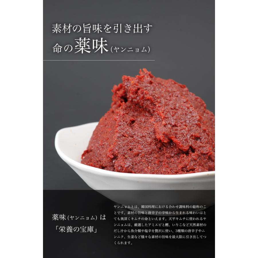 選べる珍味キムチお試し2品セット 冷蔵 国内製造 安心 安全 乳酸菌 発酵食品 白菜キムチ ポギキムチ 天平 ※北海道と沖縄は別途送料1000円頂戴します。｜tenpeikimuchi｜08