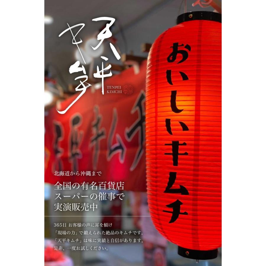 選べる珍味キムチお試し2品セット 冷蔵 国内製造 安心 安全 乳酸菌 発酵食品 白菜キムチ ポギキムチ 天平 ※北海道と沖縄は別途送料1000円頂戴します。｜tenpeikimuchi｜16