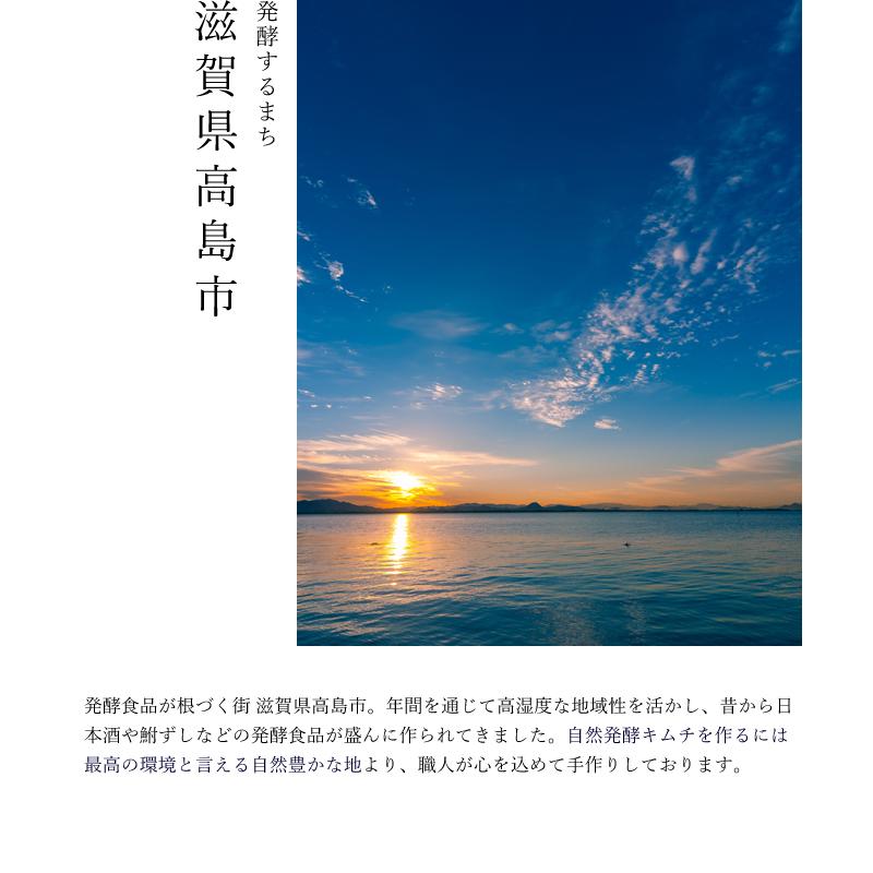 キムチセット (白菜 長芋 海苔) カクテキ キムチ 国産 贈り物 お取り寄せ ギフト 株漬け 手塗り 韓国 キムチの素 天平キムチ｜tenpeikimuchi｜07