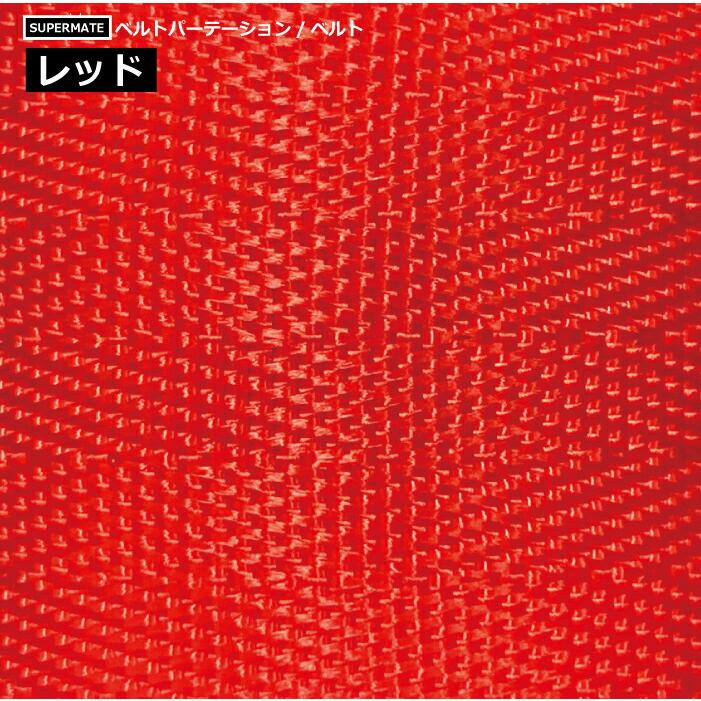 スーパーメイト ベルトパーテーション BL-5(095) ステンレス製H800mm