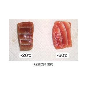 2年保証】ダイレイ 冷凍ストッカー超低温（-60℃） スーパーフリーザー