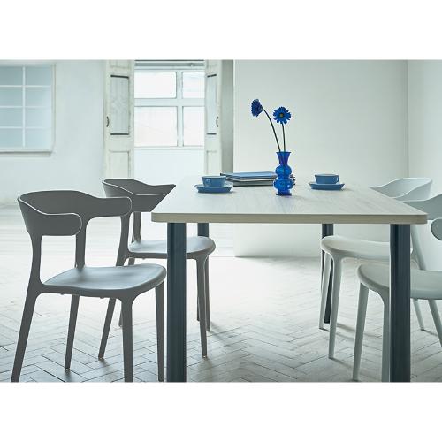 業務用椅子【プロシード】シュルームイスWH 21659-A 幅520×奥行505×高さ745 シート高450(mm)/業務用/新品/送料無料_5