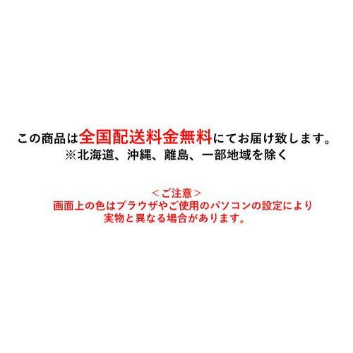 テンポスオリジナル 【導入実績 9,000台突破!】【スピード出荷 テンポスオリジナル 【導入実績 9,000台突破!】【スピード出荷