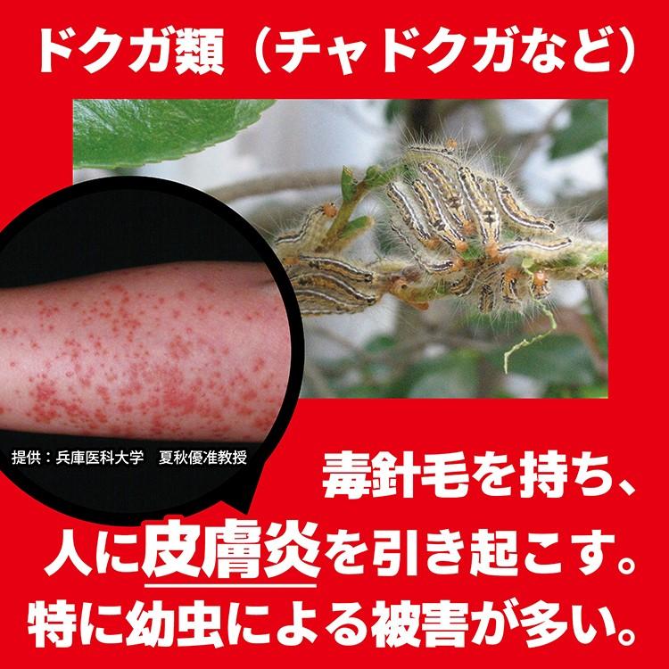 毛虫 サザンカ 殺虫 チャドクガ 毒針毛固着剤 180ml×3本 まとめ買い が ガ 蛾 対策 ケムシ 害虫対策 害虫駆除 害虫｜tenposeisou｜06