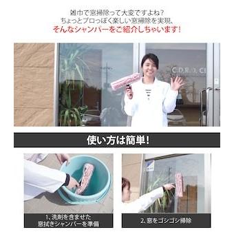 掃除用具 窓拭き シャンパー&ガラススクイジーセット 窓用ワイパー
