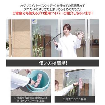 掃除用具 窓拭き シャンパー&ガラススクイジーセット 窓用ワイパー 