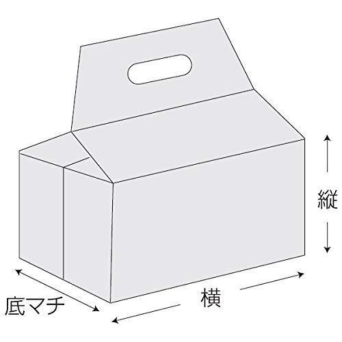 保冷袋 ミナクールパック CH6 角底袋(持ち手穴付) 中 225×170+125+190mm 100枚 酒井化学工業の画像