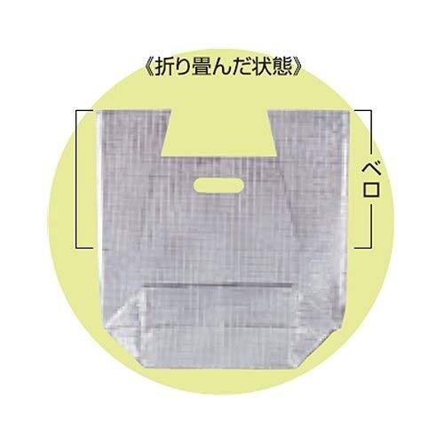 保冷袋 ミナクールパック CH6 角底袋(持ち手穴付) 中 225×170+125+190mm 100枚 酒井化学工業の画像