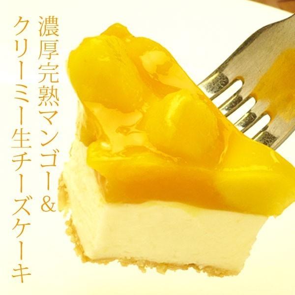 誕生日ケーキ バースデーケーキ チーズケーキ おしゃれ 女性 男性 子共 マンゴー レアチーズケーキ 5号 4 6人用 A04 パティスリー天使のおくりもの 通販 Yahoo ショッピング