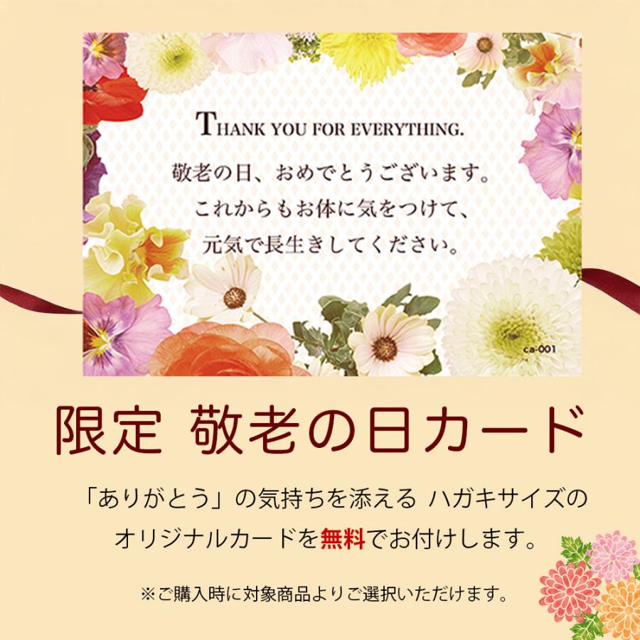 誕生日ケーキ バースデーケーキ 宅配 子供 高級 苺 生クリーム おしゃれ 人気 インスタ映え 美味しい 手作り 大人 冷凍 ホワイトベリー 5号 4人 6人 | 天使のおくりもの | 15