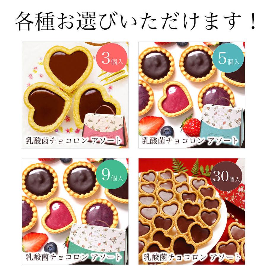 父の日 2024 お菓子 クッキー チョコ 誕生日プレゼント ギフト スイーツ 高級 女性 母 男性 30代 40代 50代 60代 70代 乳酸菌チョコロン9個入｜tenshi-okurimono｜04