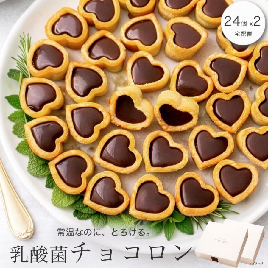 敬老の日 残暑見舞い スイーツ ギフト お菓子 プレゼント 内祝 お礼 クッキー チョコ 退職 個包装 職場 産休 明け チョコロン 24個入x2箱 | 天使のおくりもの