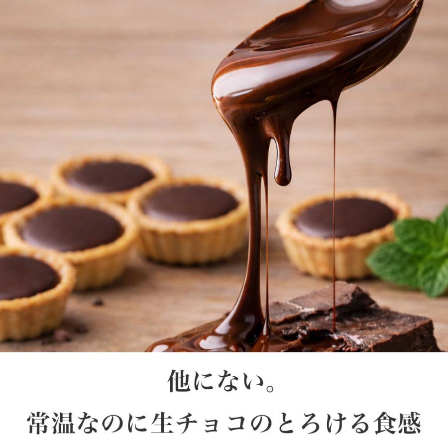 敬老の日 残暑見舞い スイーツ ギフト お菓子 プレゼント 内祝 お礼 クッキー チョコ 退職 個包装 職場 産休 明け チョコロン 24個入x2箱 | 天使のおくりもの | 04