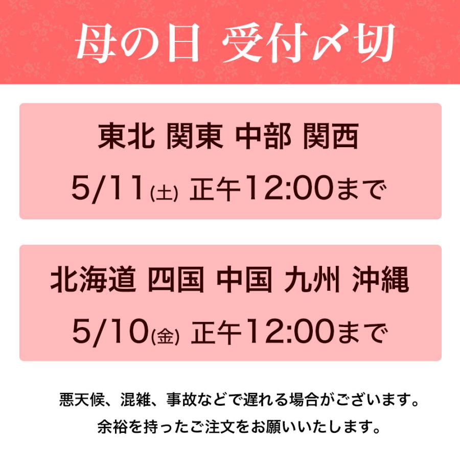 母の日 2024 アイス クリーム 誕生日 プレゼント ギフト スイーツ お菓子 高級 女性 母 30代 40代 50代 60代 70代 コラーゲンジェラート8個入｜tenshi-okurimono｜17