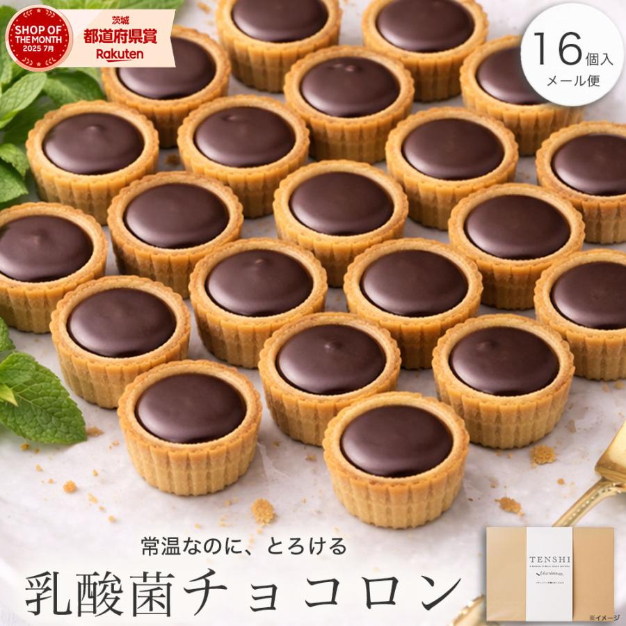 ホワイトデー お返し チョコ お菓子 クッキー 子供 本命 高級 スイーツ プチギフト 誕生日プレゼント お礼 お菓子 個包装 職場 産休 明け チョコロン16個入