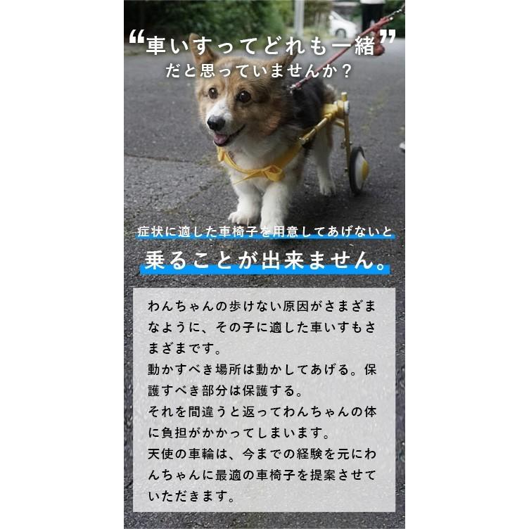 犬の車椅子 Mサイズ ブルー 犬用車椅子 介護 車いす コーギー フレブル Blue M ワンちゃんの愛車 天使の車輪 通販 Yahoo ショッピング