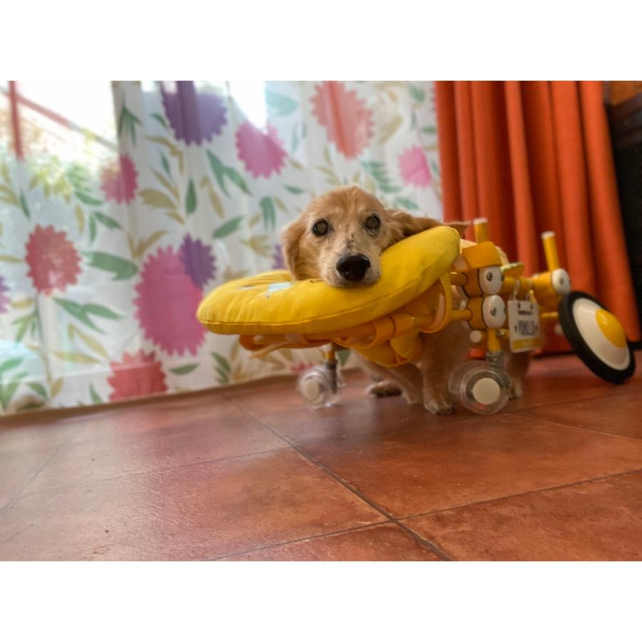 天使の車輪専用 オプション あご乗せ 本体別 犬の車椅子用 本体別 犬の車椅子用 三日月ピロー Pillow ワンちゃんの愛車 天使の車輪 通販 Yahoo ショッピング