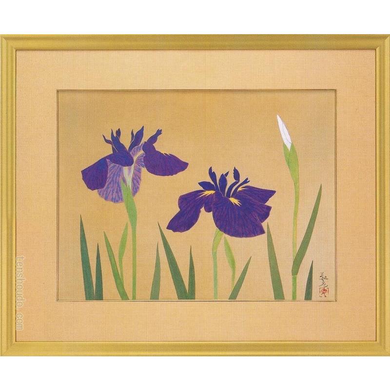 安田靫彦　絵画　菖蒲　原画古川美術館所蔵　　【複製】【美術印刷】【巨匠】【変型特寸】