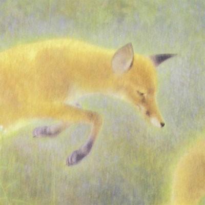 山口華楊 絵画 幻化 【複製】【美術印刷】【巨匠】【変型特寸】 : 叙勲