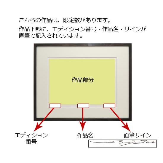 佐野せいじ 木版画 酔桜夢幻 【複製】【木版画】【日本の風景】【変型