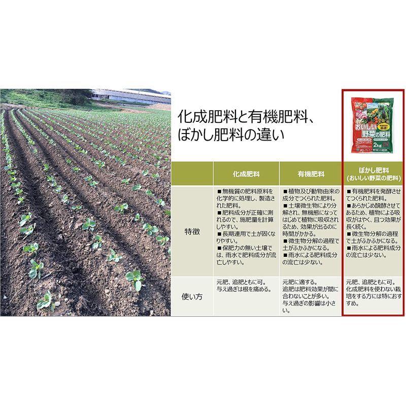 SALE開催中 自然応用科学 おいしい野菜の肥料 2kg metacentro.es SALE開催中 自然応用科学 おいしい野菜の肥料 2kg metacentro.es
