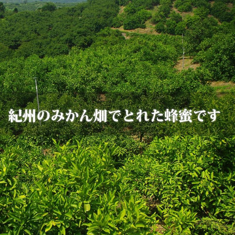 はちみつ 蜂蜜 国産純粋 150g みかん ハチミツ 和歌山県産 |  | 01